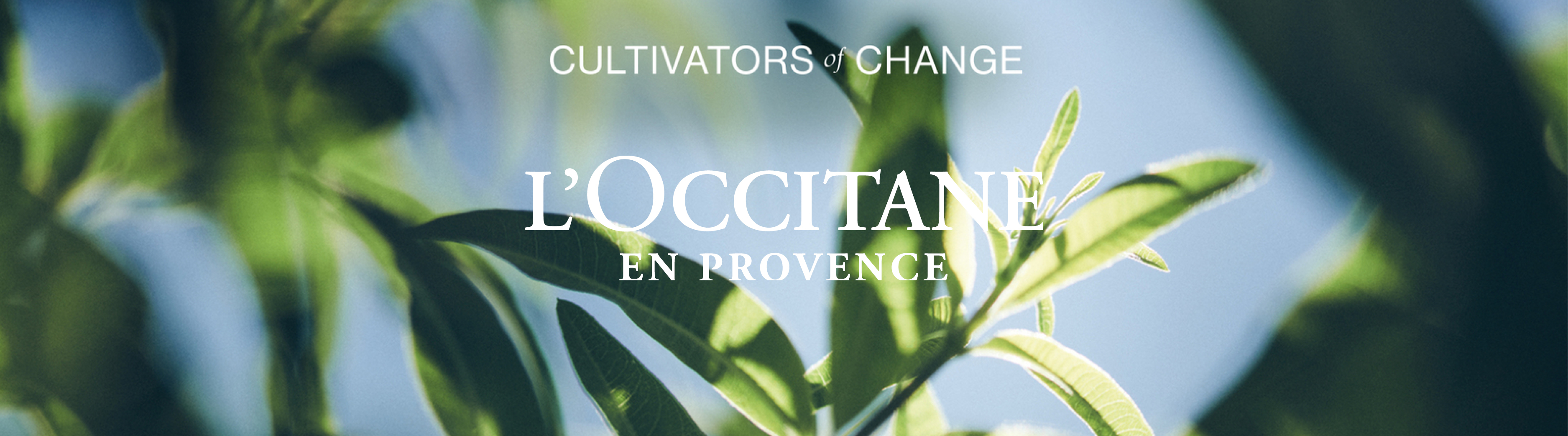 L'OCCITANE