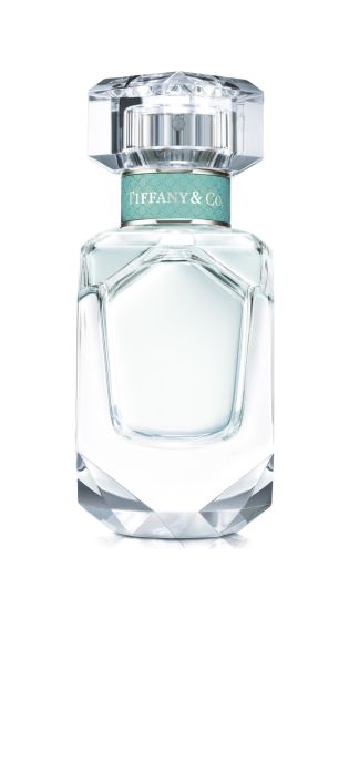 Tiffany & Co., TIFFANY, TIF034172100002, Immagine 1