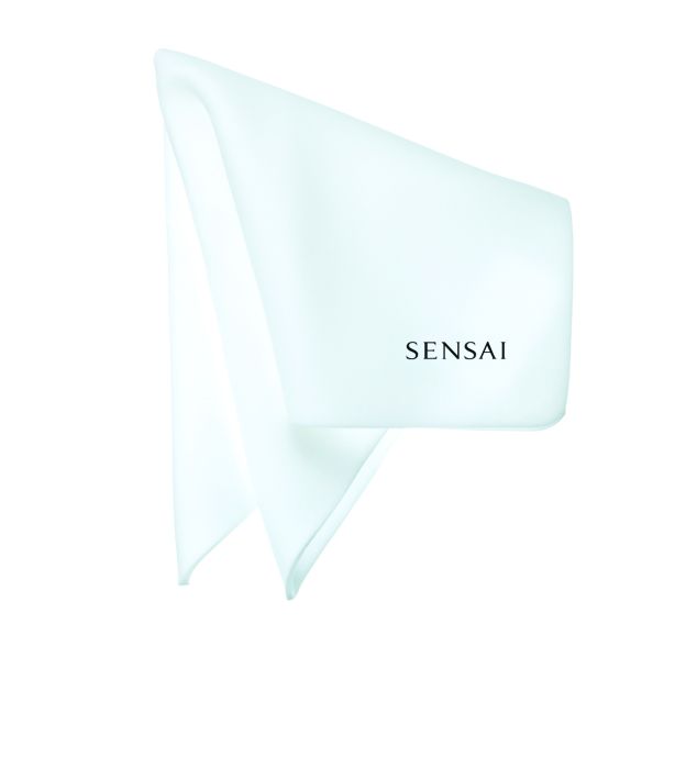 Sponge Chief, SENSAI, KAN007034500001, Immagine 1