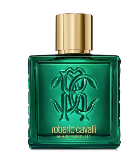 Uomo Verde Assoluto, ROBERTO CAVALLI, CAV043792100002, Immagine 13