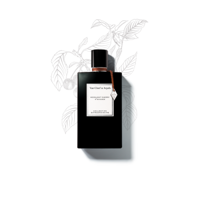 MOONLIGHT CHERRY EDP V.