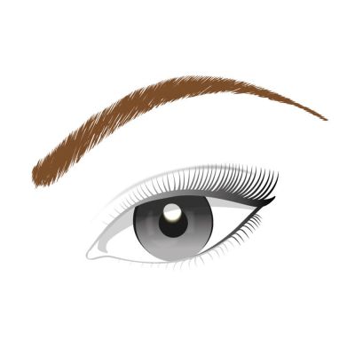 Brow Artist Shaper