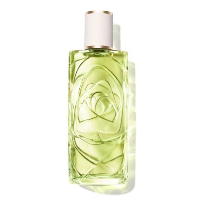 Ô De Lancome Off Now