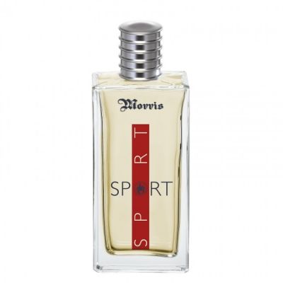 Morris Sport