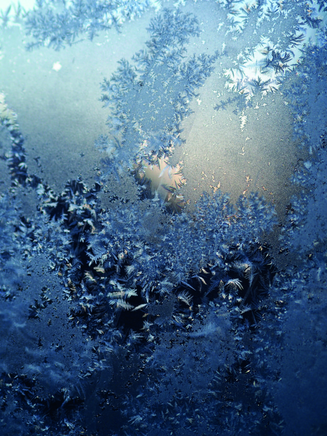 I Profumi dell'Inverno