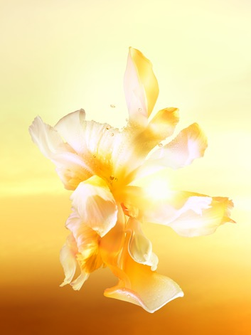 Parfum D'eau